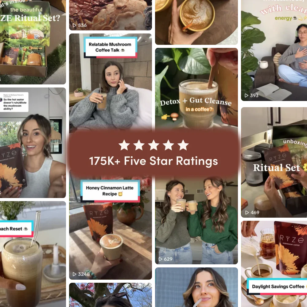 Mushroom Coffee Dark Roast Starter Kit (Upgrade)